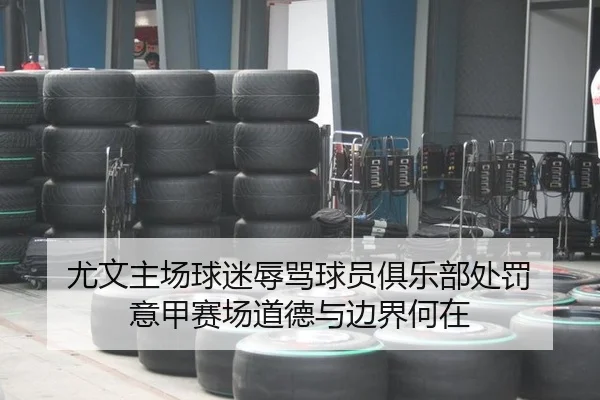 尤文主场球迷辱骂球员俱乐部处罚 意甲赛场道德与边界何在
